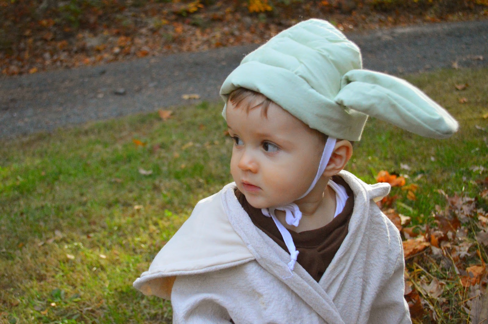 1001 Goals: DIY Luke Skywalker and Yoda Halloween Costumes
