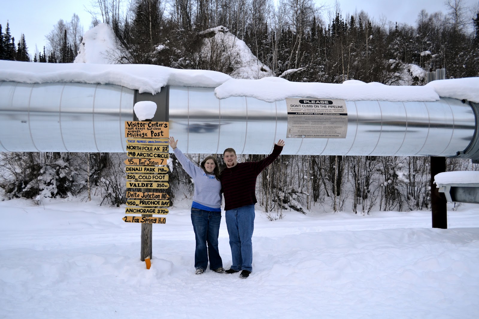 A Mountainous Journey Drive to Fairbanks, AK