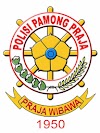 Polisi Pamong Praja