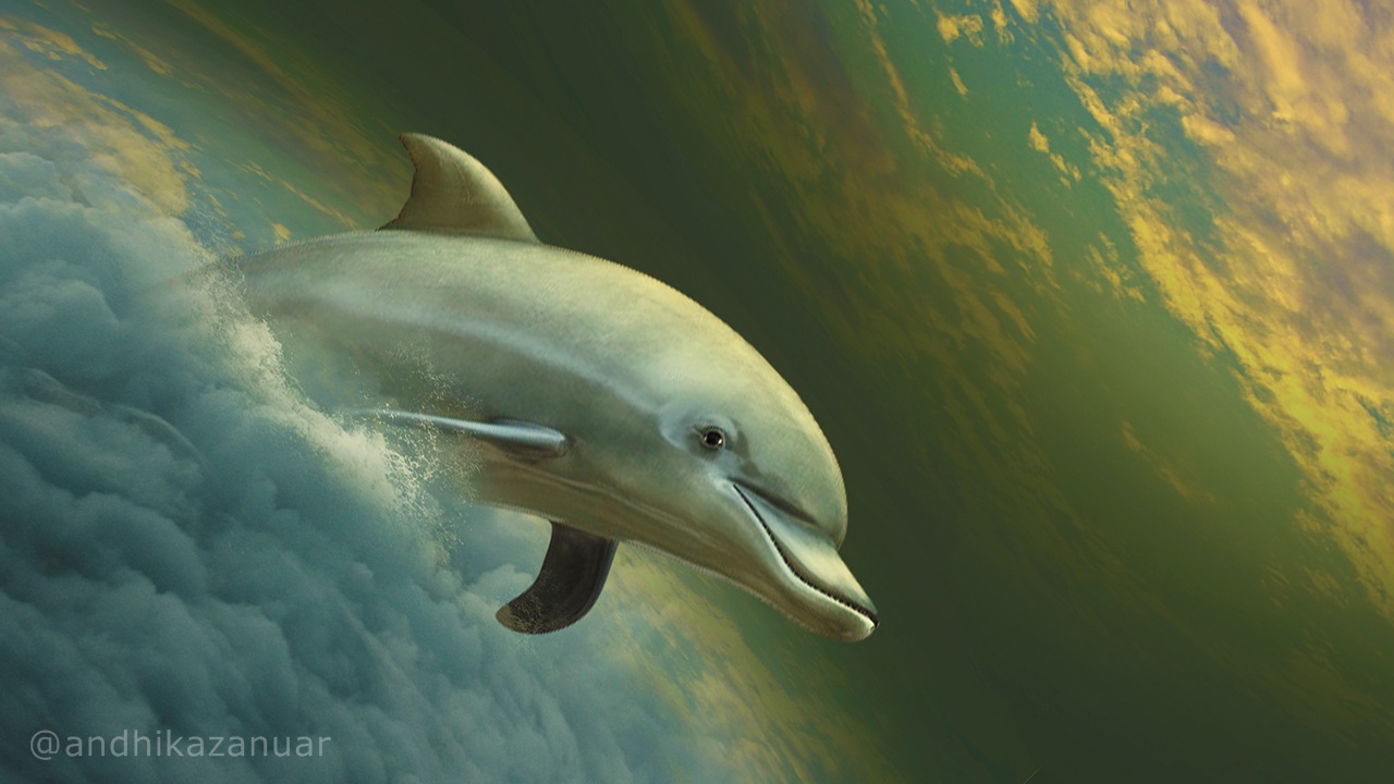 Fantasy Dolphin Fly Manipulation Tutorial