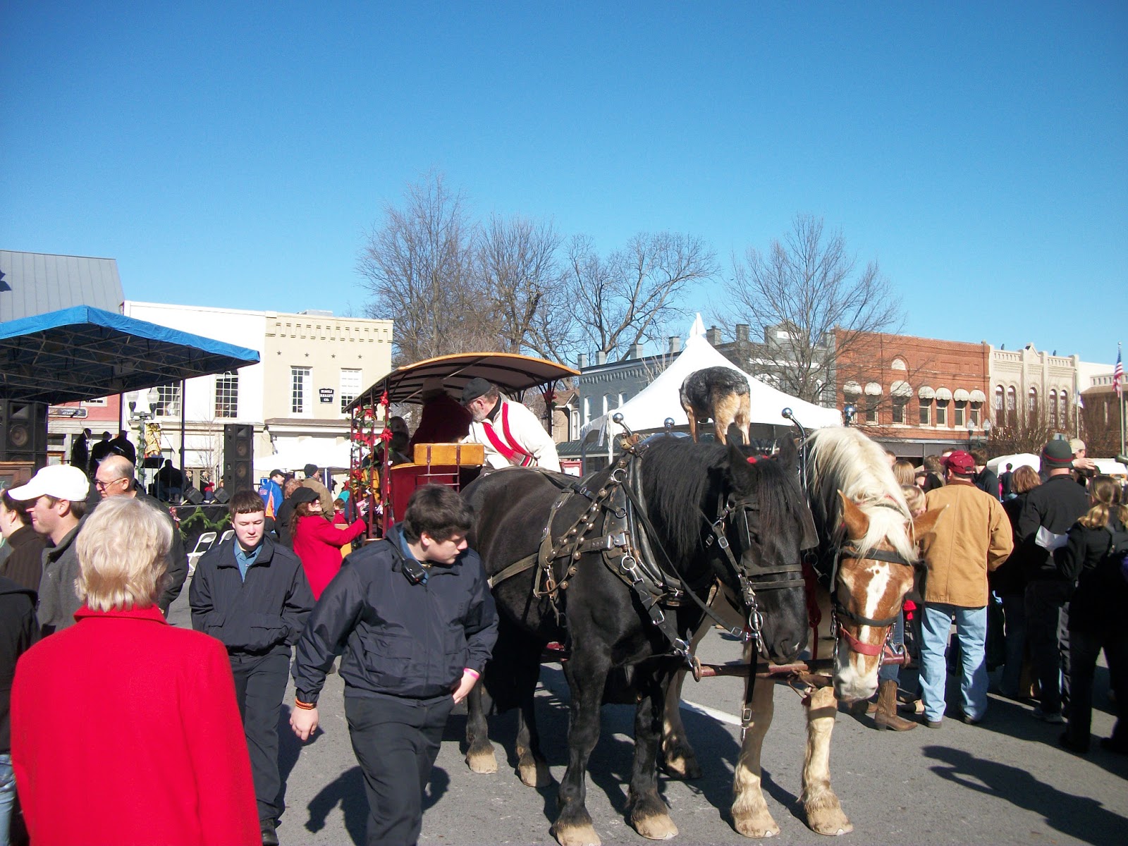 Sugar Creek Carriages Horse Drawn Carriage Rides Franklin TN
