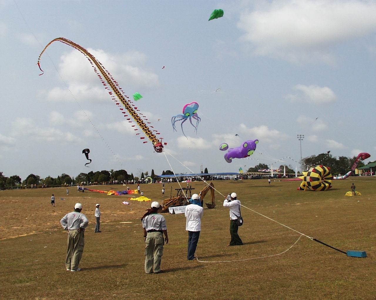 Singapore Kite Association PASIR GUDANG INTERNATIONAL KITE FESTIVAL 2002