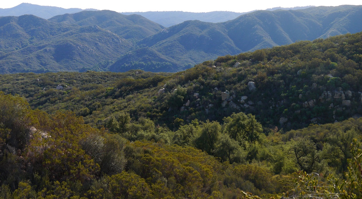 Peaks For Freaks: Wild Horse Peak, Agua Benchmark, Eagle Crag, Agua ...