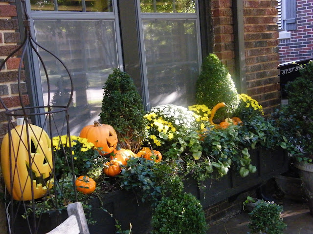 Remember that most of the time, your window box will be seen up close at an angle from either side as visitors and family enter and exit your home. This long angled view, in my opinion, is far more engaging than the straight on perspective.