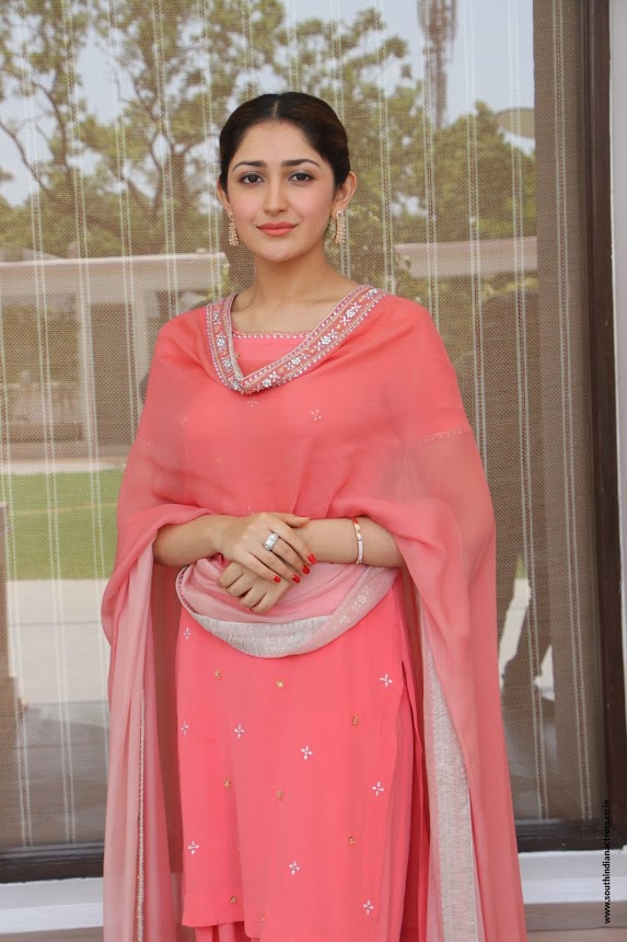 Sayyeshaa Saigal at Kadaikutty Singam Success Meet