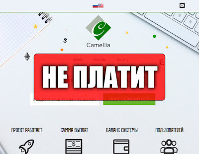 Скриншоты выплат с хайпа camellia.world Скриншоты выплат с хайпа camellia.world