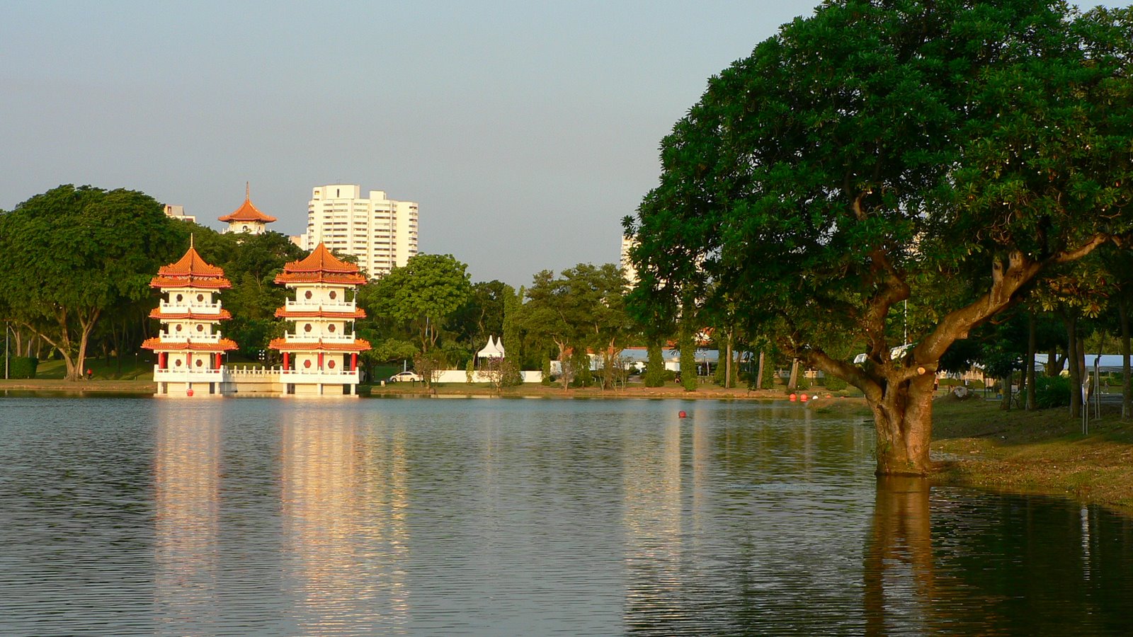 science group Introduction to Jurong Lake Park