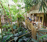 Jungle Lodge Center Parcs