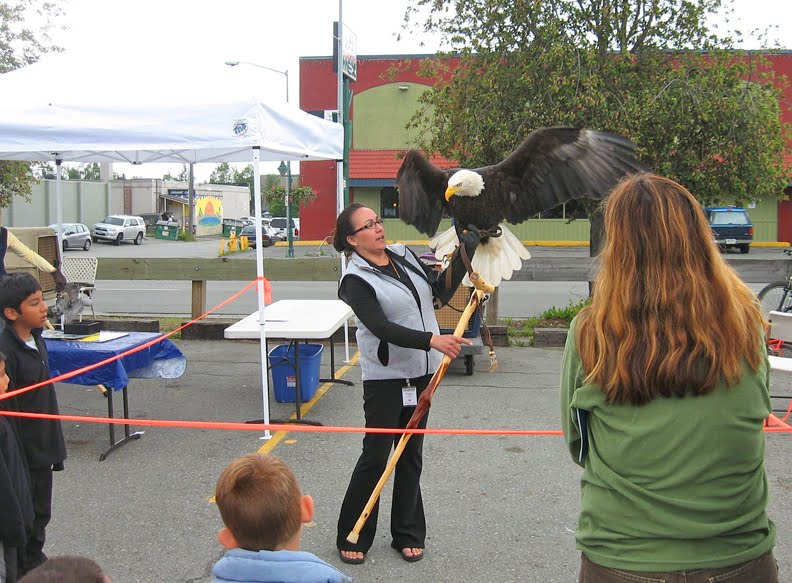 Bird Treatment and Learning Center Busy Bird TLC Weekend so far
