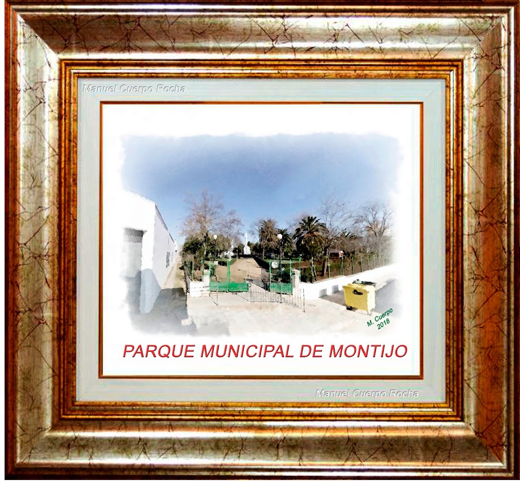 PARQUE MUNICIPAL DE MONTIJO