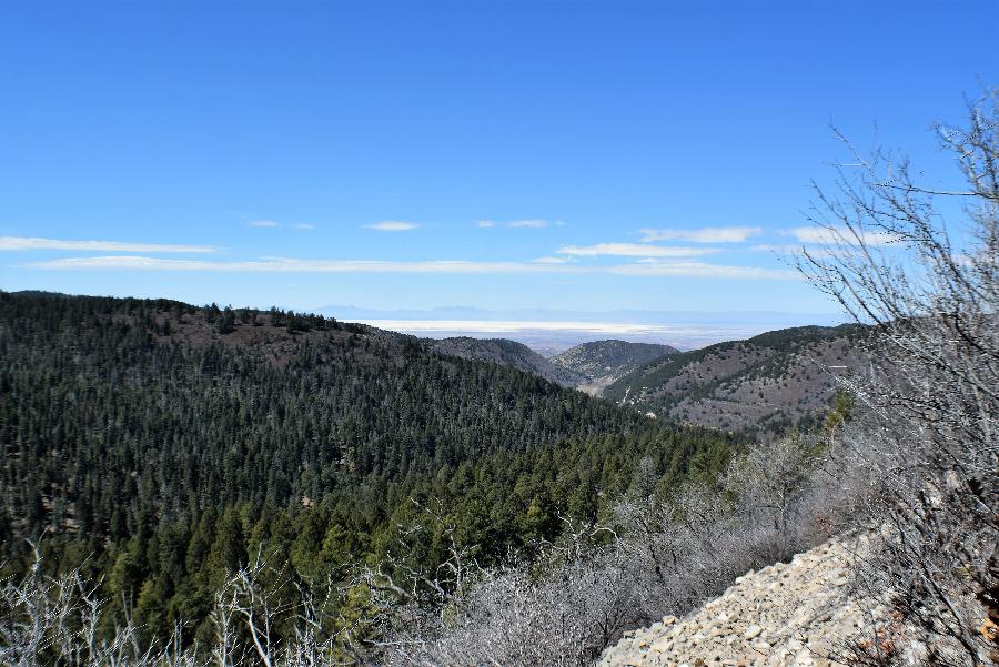 High Tide And Green Grass Cloudcroft, New Mexico Elevation 8700 Feet
