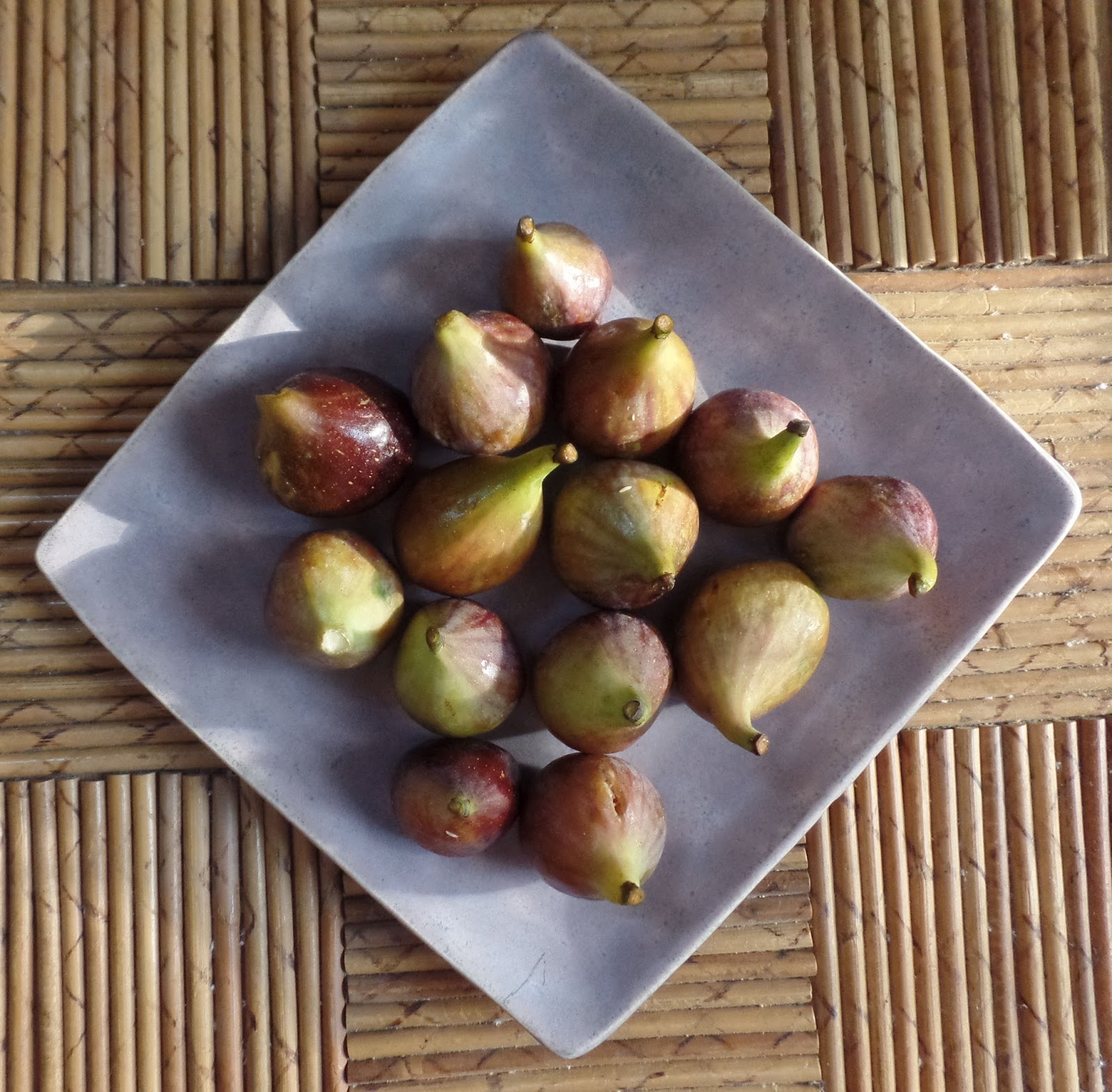 Blue Starr Gallery Fig, Apple, Pear Chutney