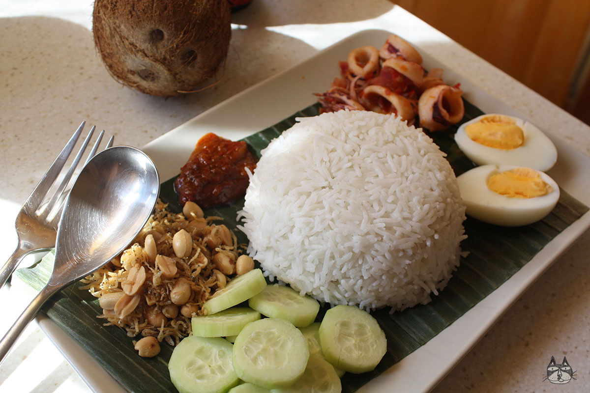 Airinie Cooks Her Eclectic Kitchen Nasi Lemak