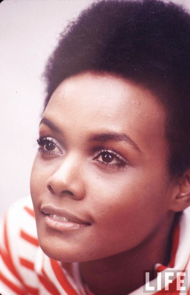 23 fascinating vintage photos tamara dobson model turned 23 fascinating vintage photos tamara dobson model turned