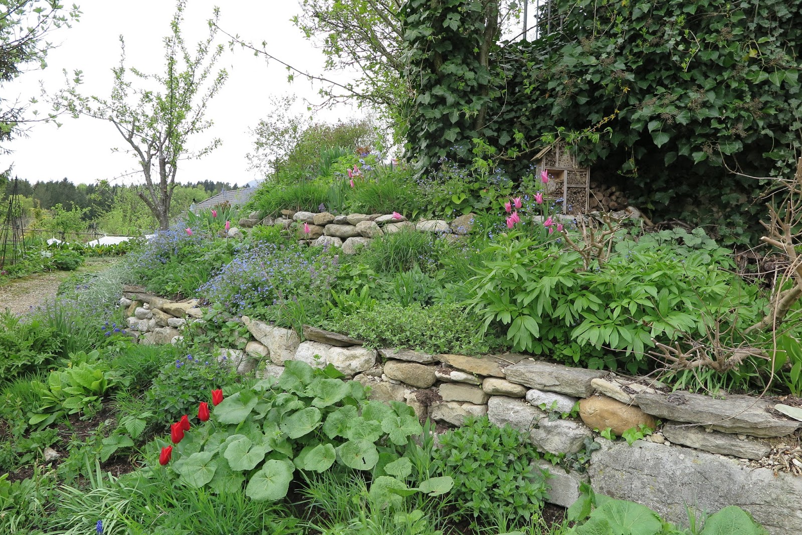 JURA GARTEN April 2016
