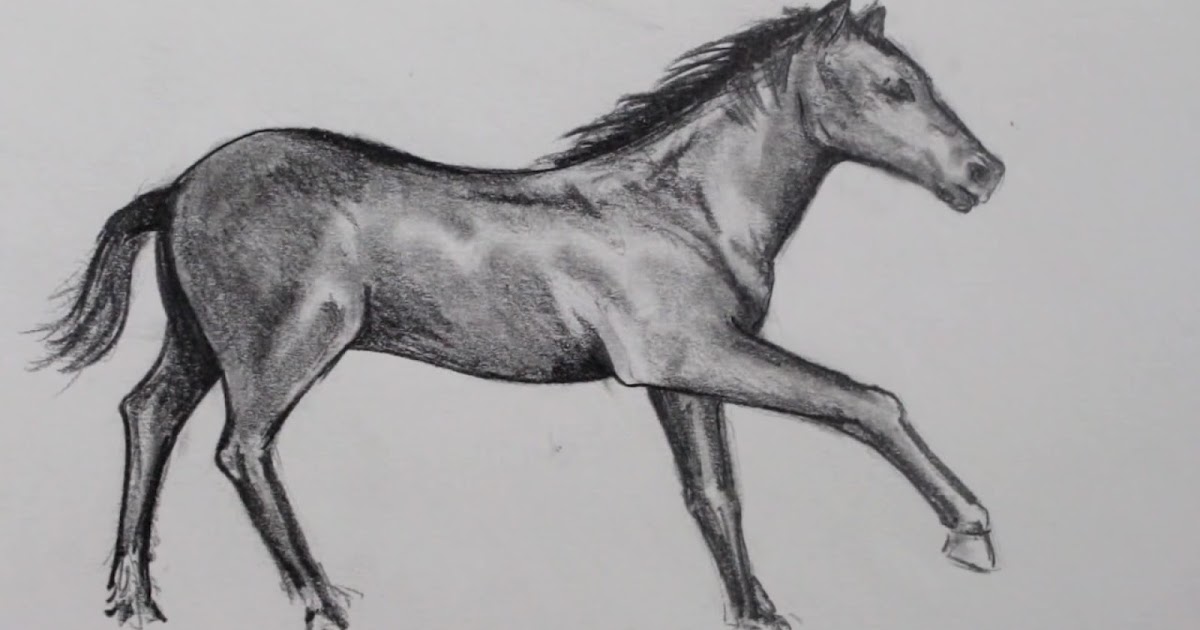 الرسم بالرصاص رسم حصان بالرصاص