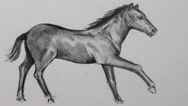 رسم حصان رسم حصان بالرصاص