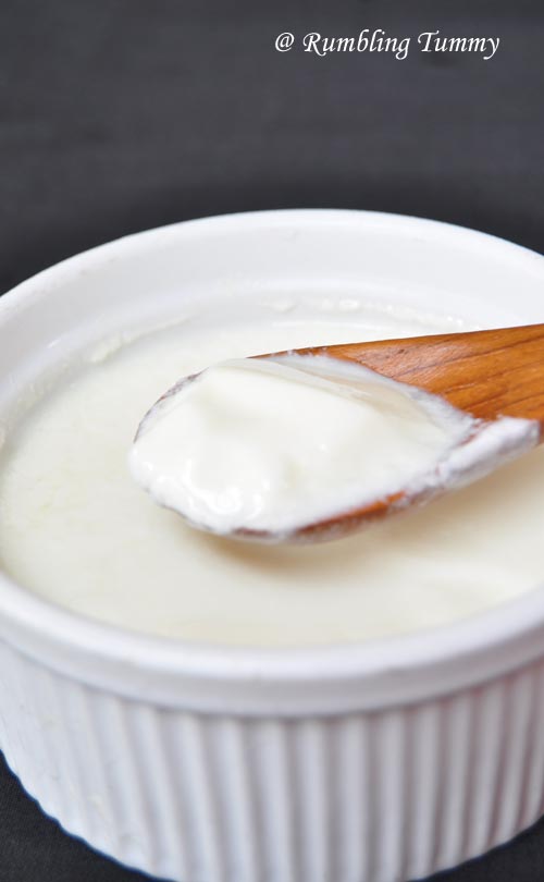 Rumbling Tummy Ginger Milk Pudding (姜汁撞奶)