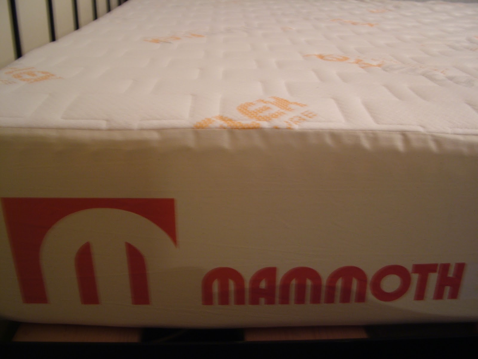 Labour of love Park Run and Mammoth Mattresses