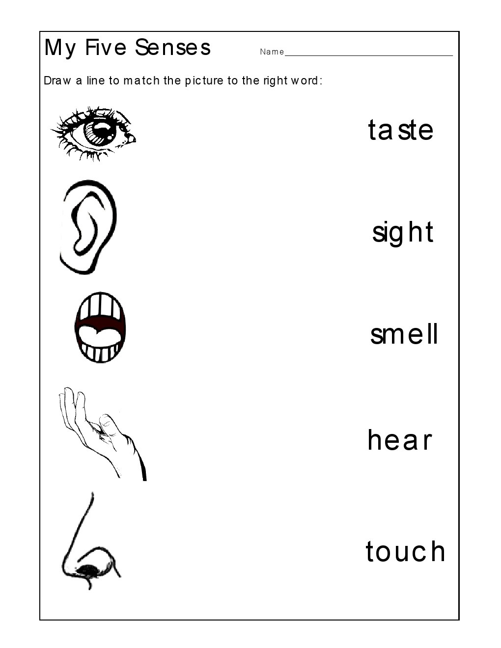 Five Senses Worksheets For Kindergarten