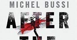 Review: After the Crash by Michael Bussi