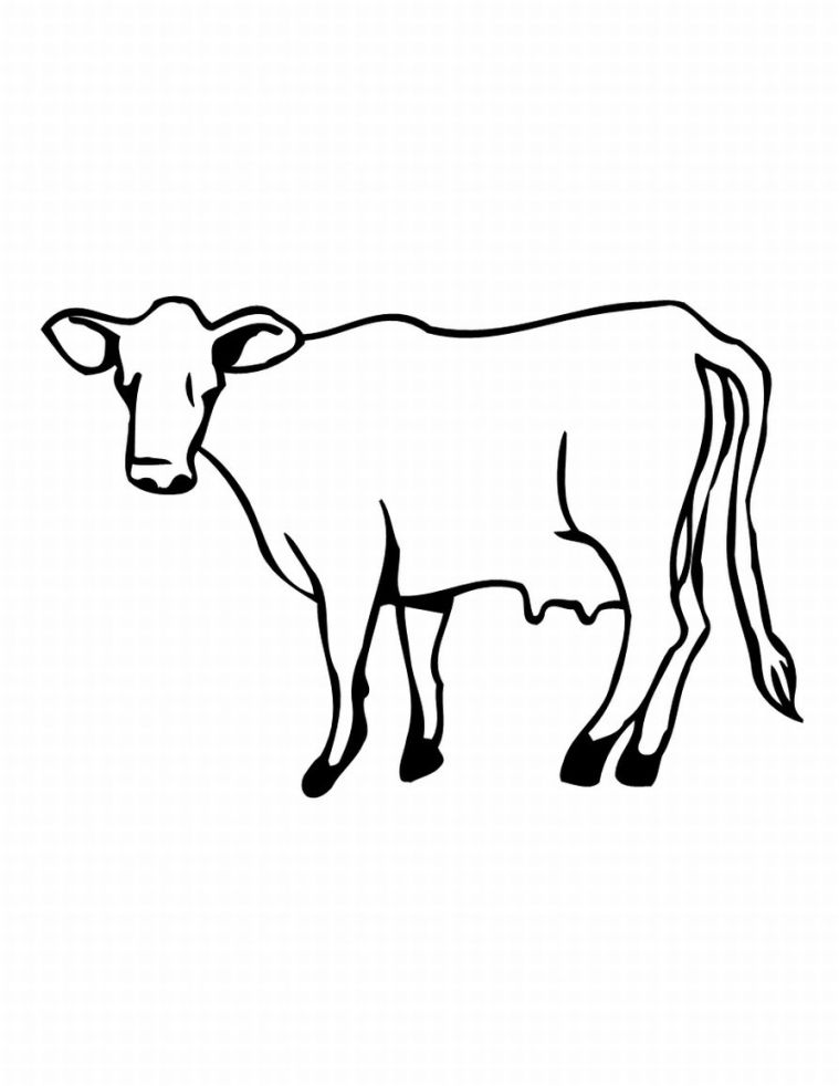 Coloriages A Imprimer Dessin Vache