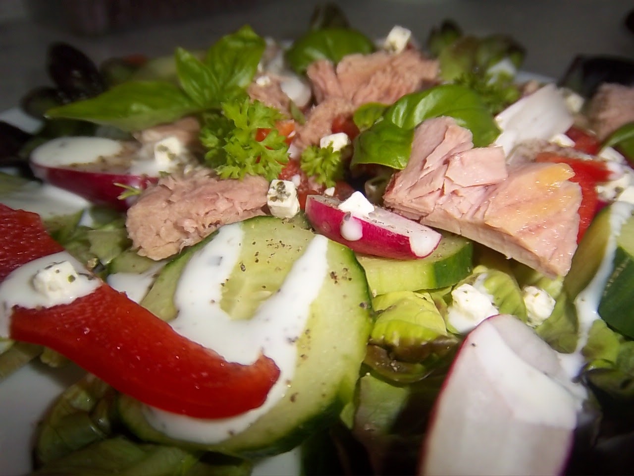 Bunter Salat mit Thunfisch und Joghurt Dressing