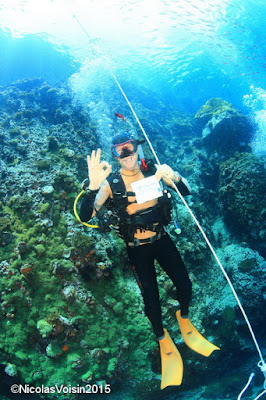 500 logged dives at Sail Rock