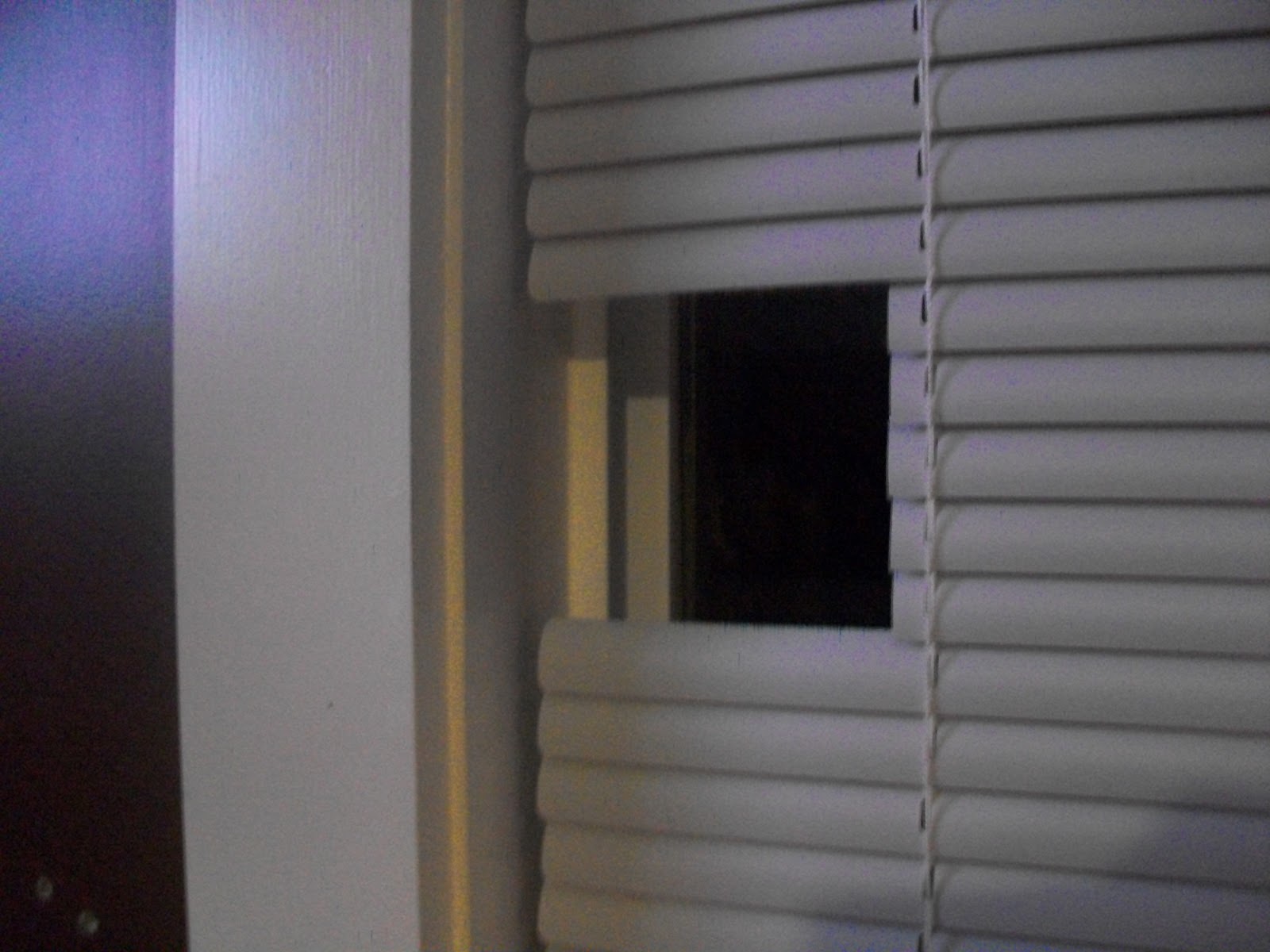 Scotty Watty Doodle All The Day There's A Hole In The Blinds, Dear