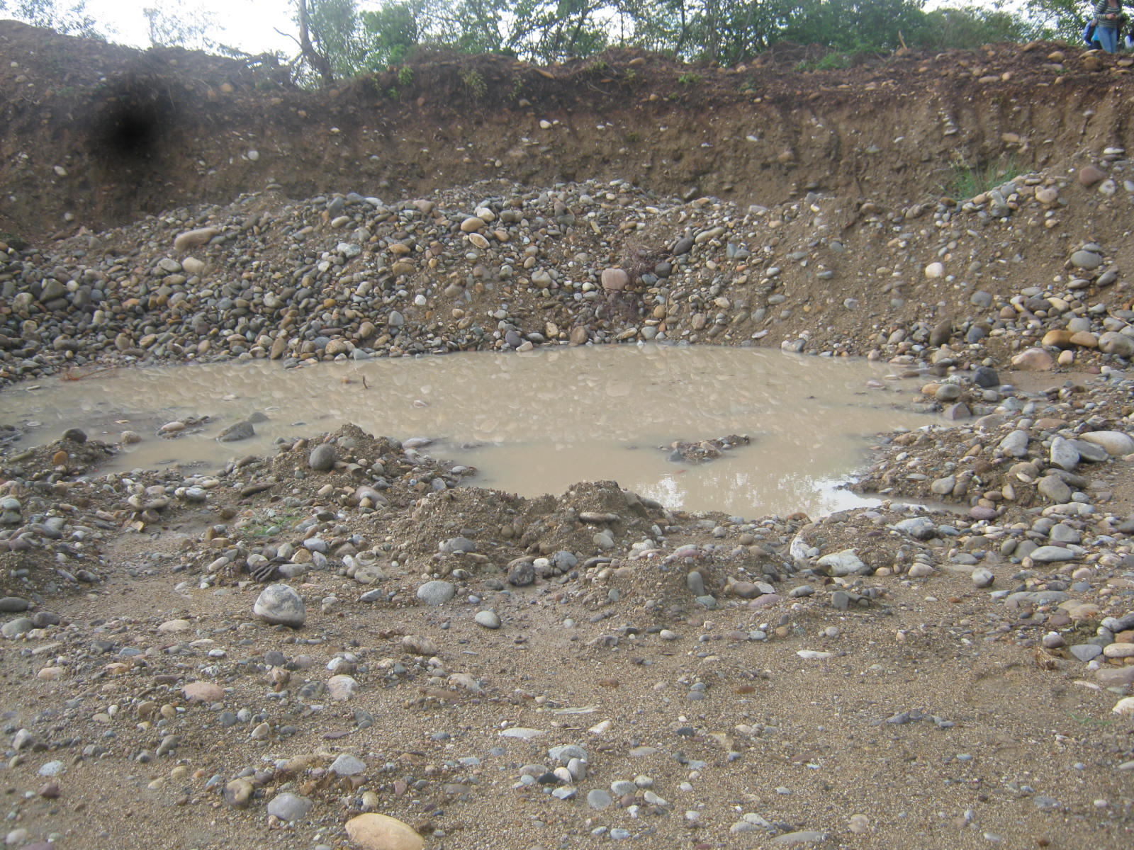 Un Jardin Convertido En Desierto