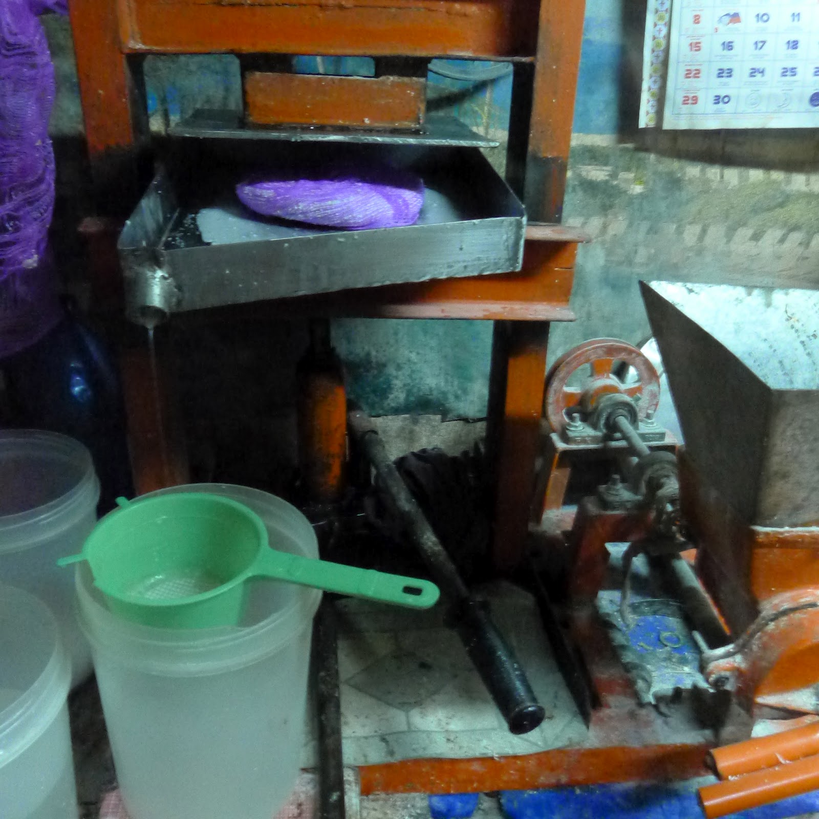 adventures in sustainability: Improvised Coconut Milk Press, Magallanes
