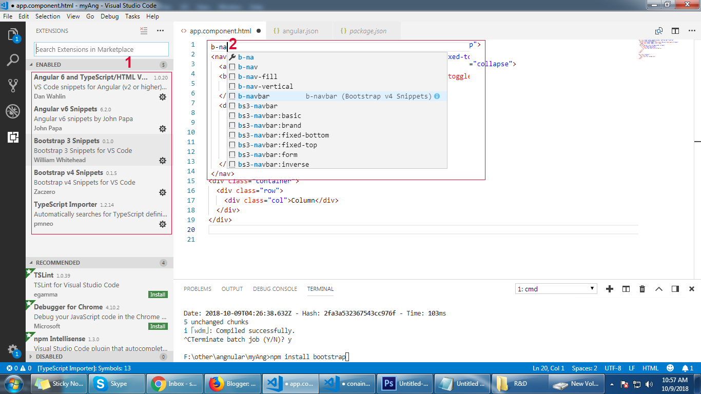 How to start new project in angular 6 - Online Tutorial For JavaScript ...