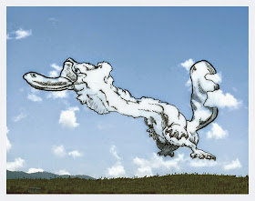 15-Long-Neck-Platypus-Cloud-Martín-Feijoó-Images-in-the-Sky-Cloud-Drawings-www-designstack-co