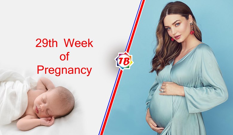 29th Week of Pregnancy