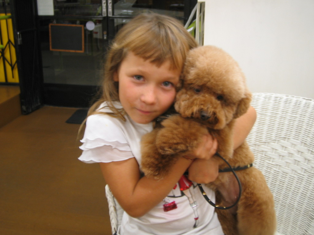 Venicepets TODAY S CUSTOMER HAPPY POODLE 