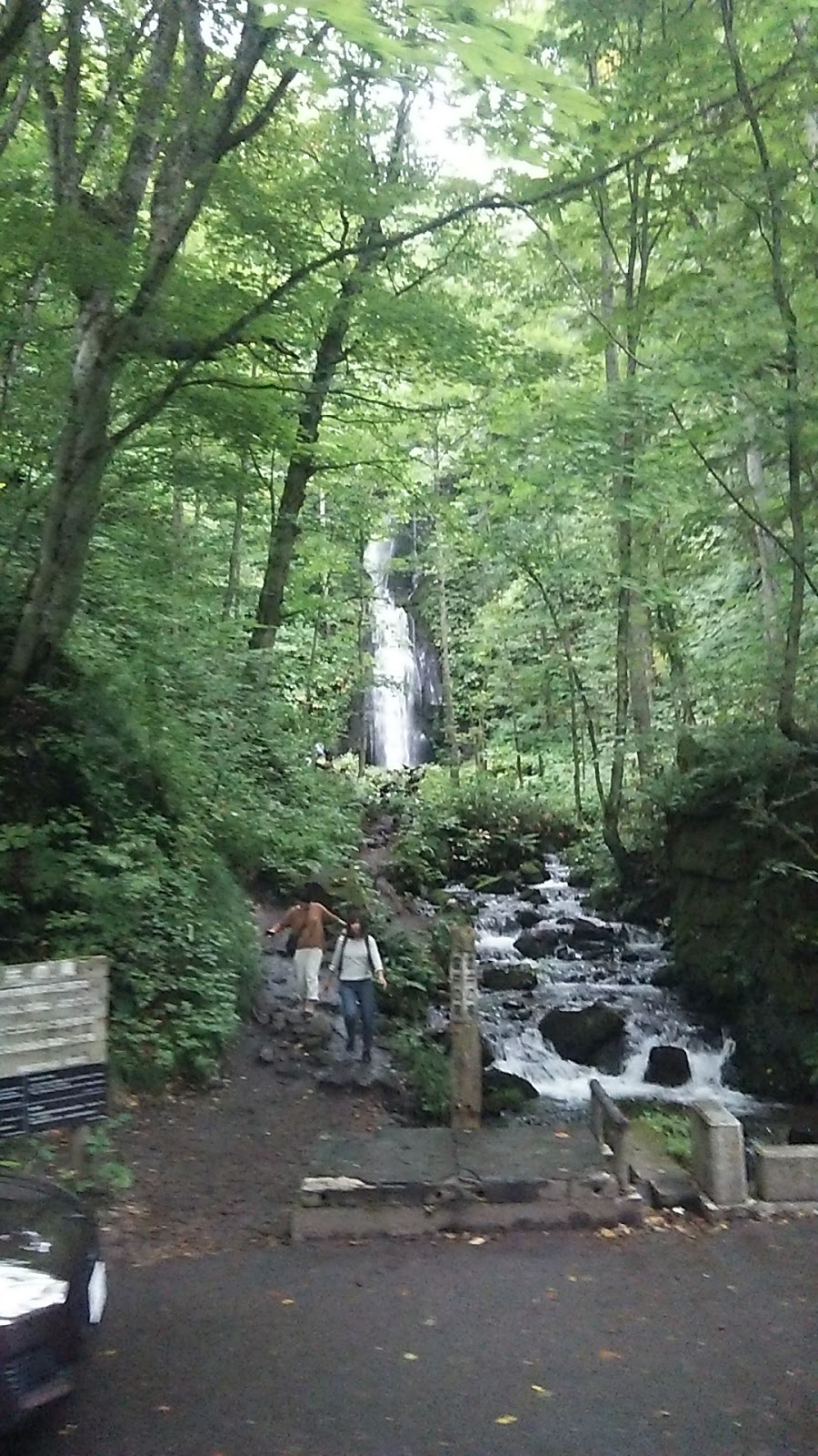 自分で自分を自分する 1071 シャーマン９ 17 9 23