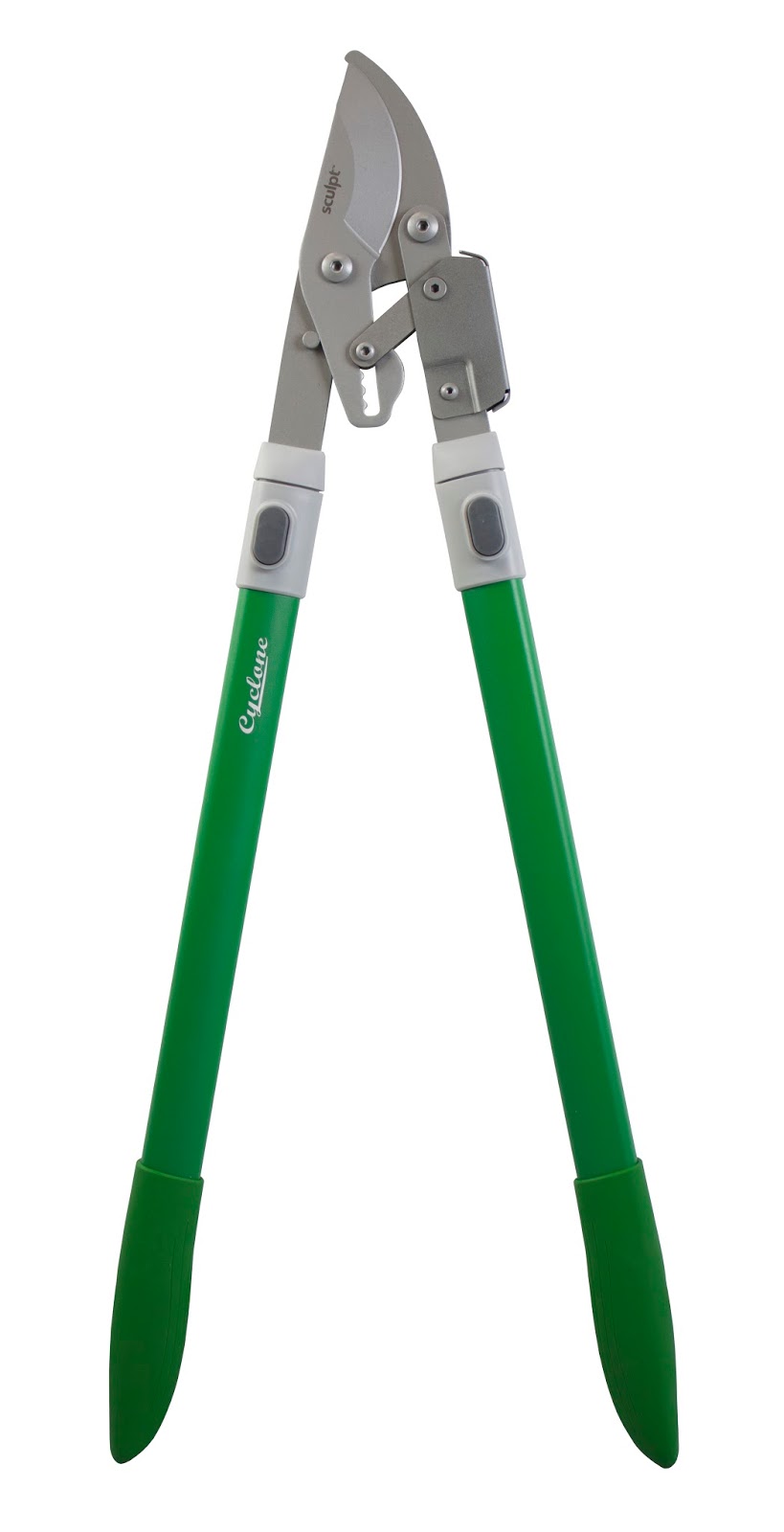 Aggregata Plants & Gardens Garden tool review. The Cyclone 'Sculpt