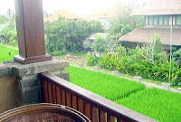 kakiang bungalow ubud bali kakiang bungalow