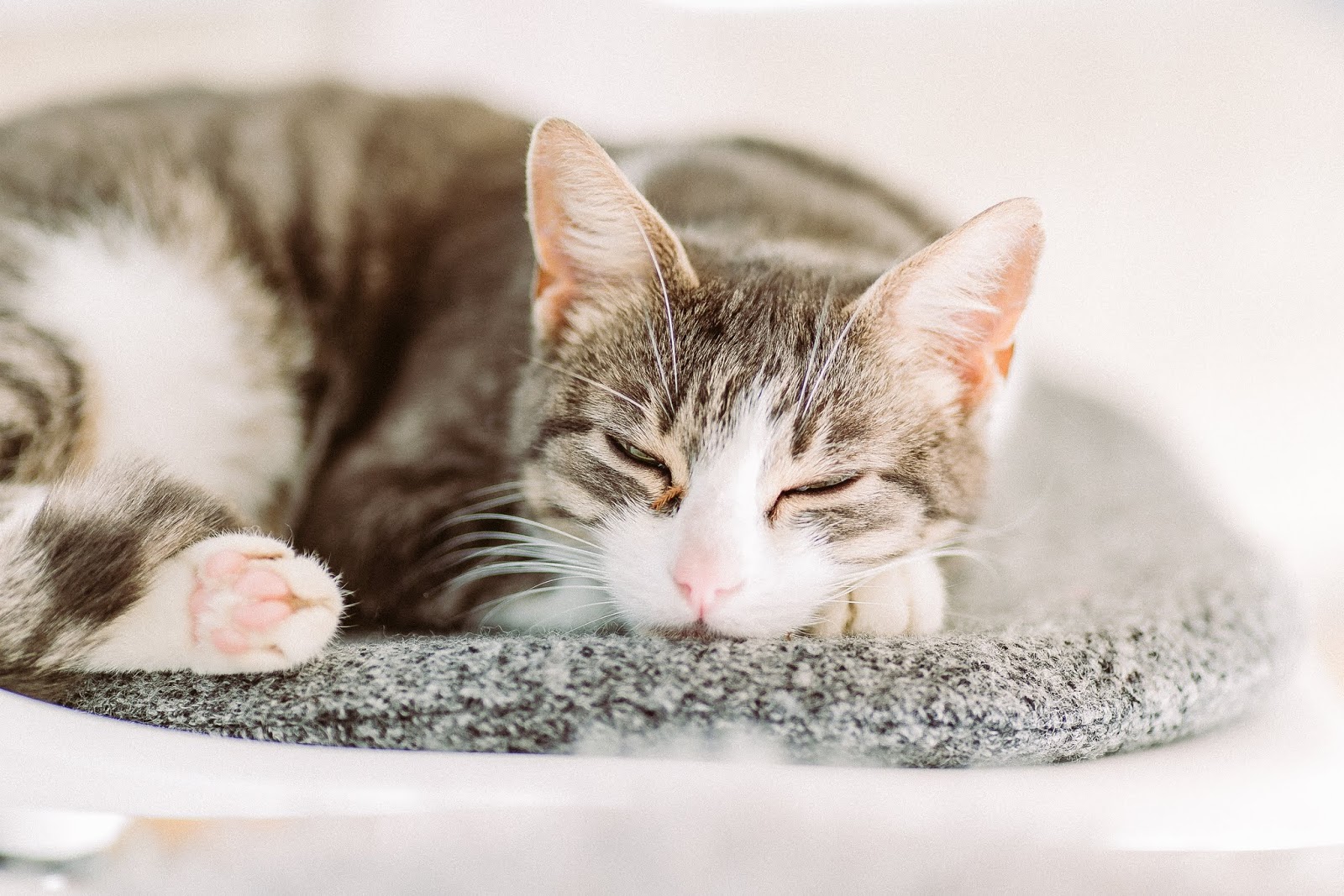 3 Bp Blogspot Com Noh42j58bai Urs Kj4rj2i Aaaaaaaaa5o L0bgukyn5f4