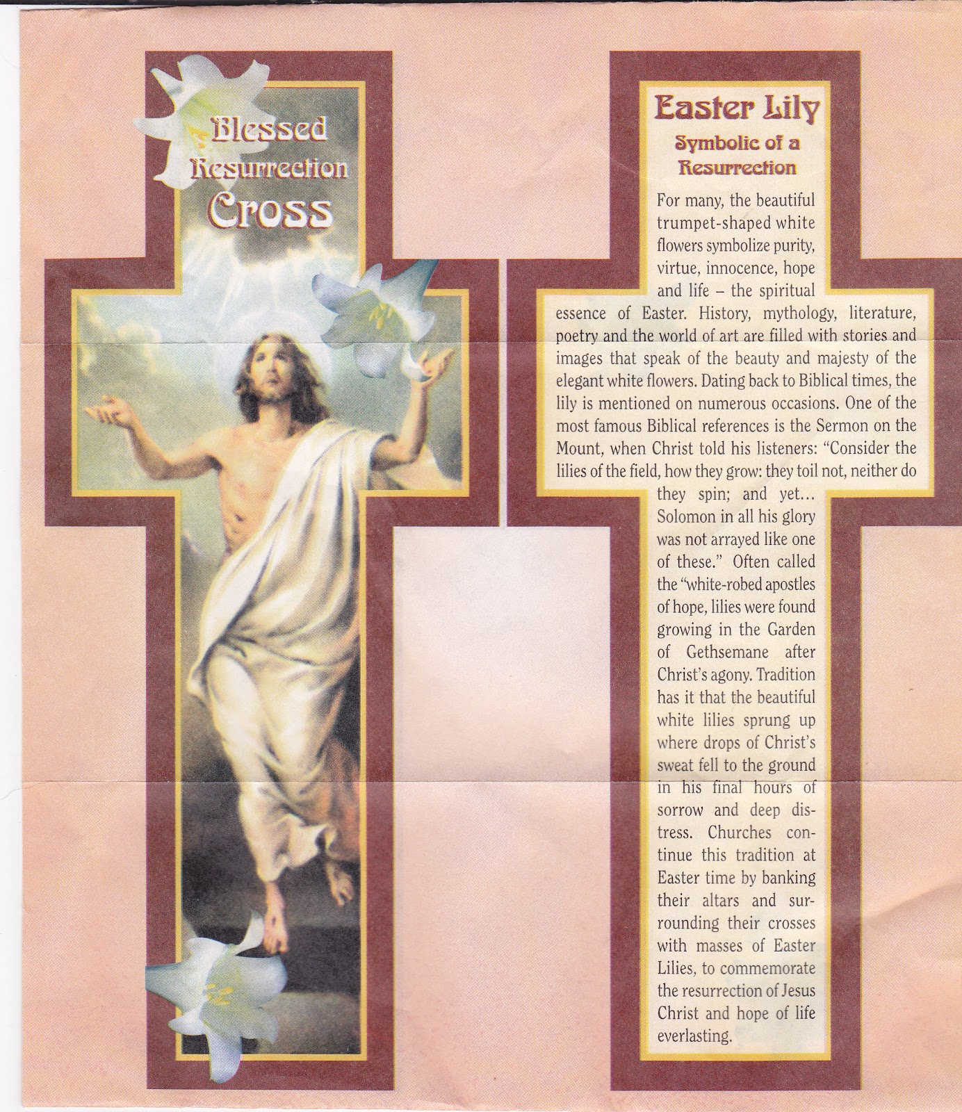 Amazing GraceMy Chains are About the Easter Lily