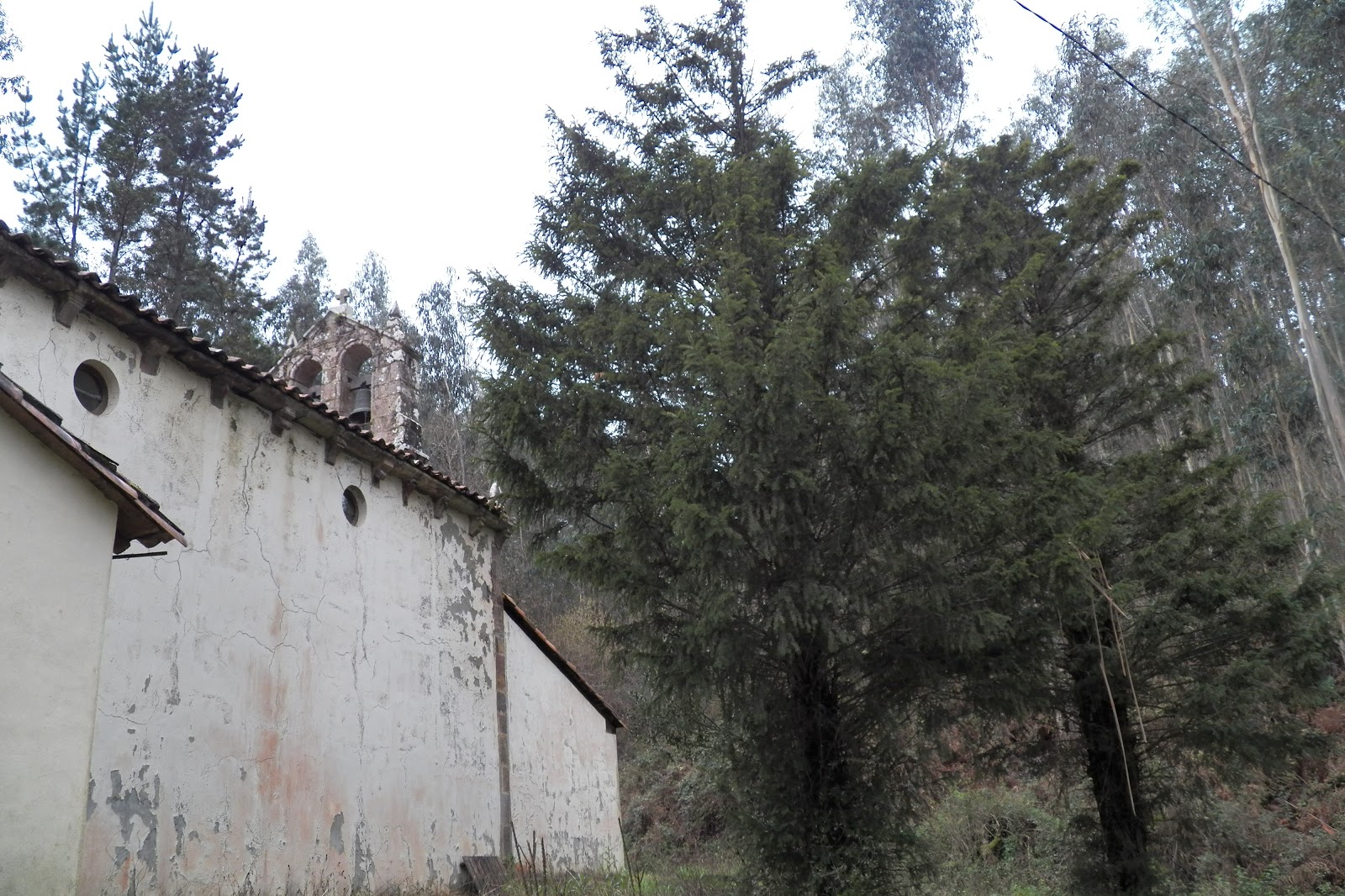 MIS TEXOS 2 Iglesia de Santa María. Sebrayo. VILLAVICIOSA.