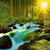 3D Nature Wallpaper