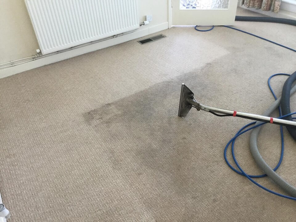 Professionals for Carpet Cleaning Services in London