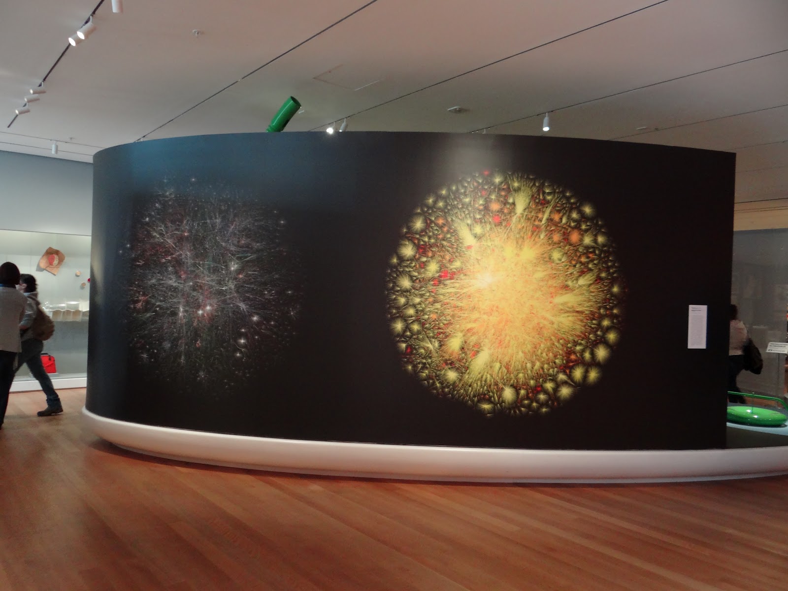 Museum Exhibition Graphics Color X