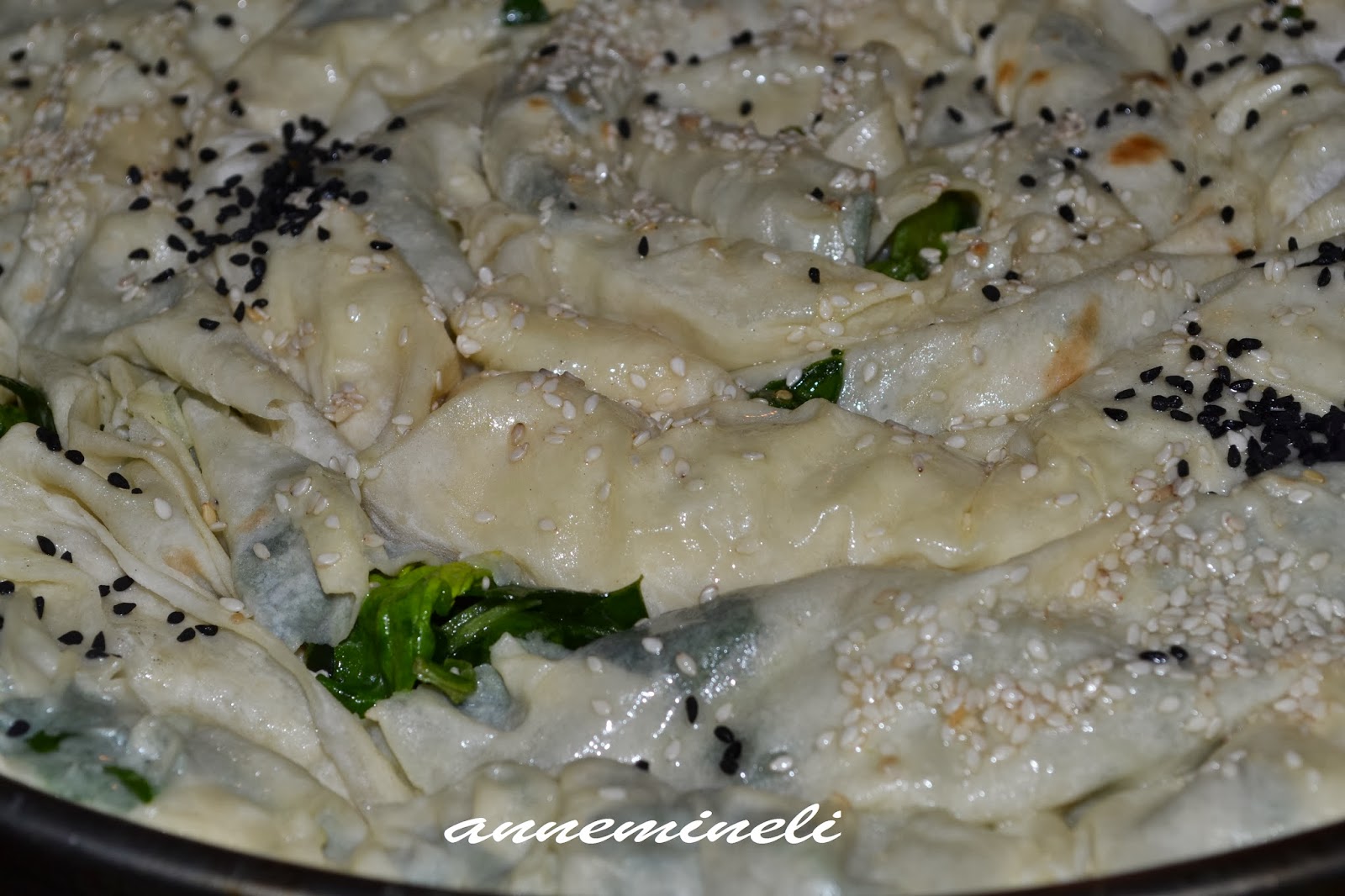 ANNEMİNELİ ÇİĞ ISPANAKTAN YUFKADA KOL BÖREĞİ