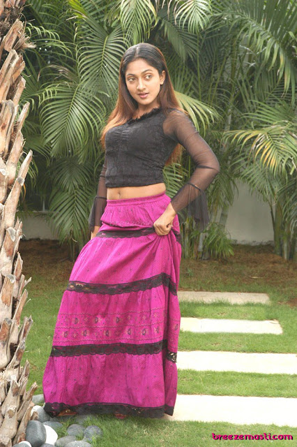 Telugu actress actress hot sheela images