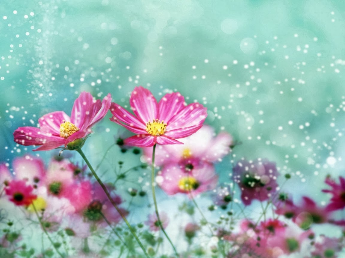 Tìm hiểu 102+ hình nền máy tính hoa đẹp tuyệt vời nhất hoặc nhất - thdonghoadian