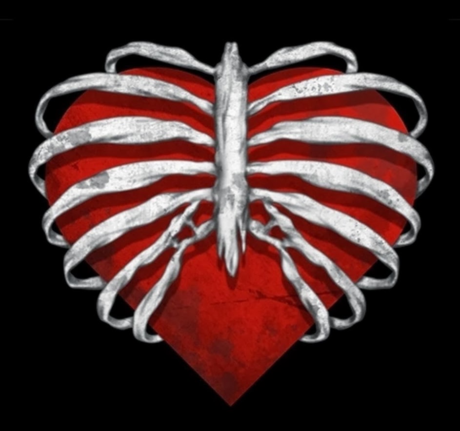 Сердце из костей. Сердце из ребер. Сердечко из костей.