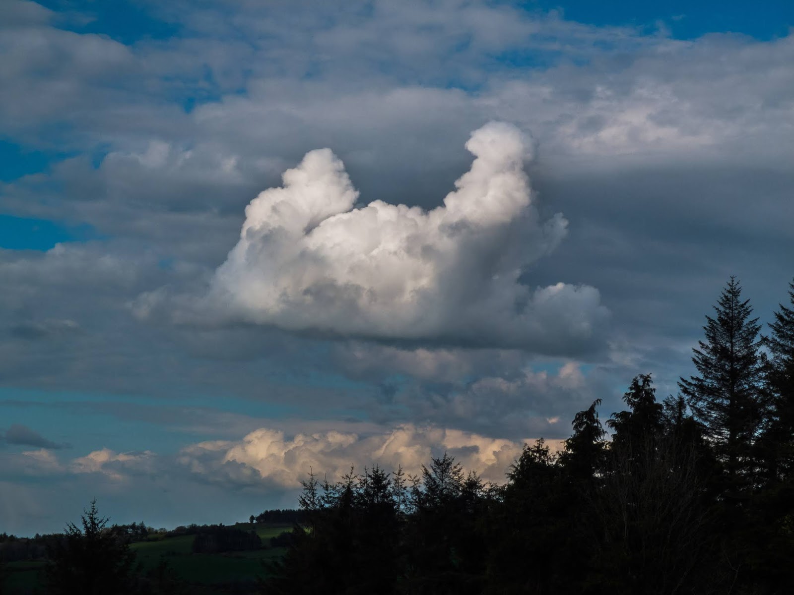 Clouds over conifer trees in the mountains in North Cork.