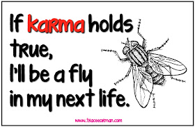 What will you be in your next life if karma holds true?  www.hungergameslessons.com